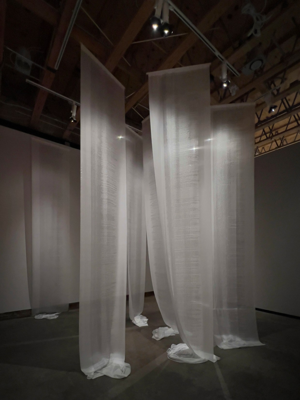 Elizabeth Pineda’s art addresses migrant mortality and memory