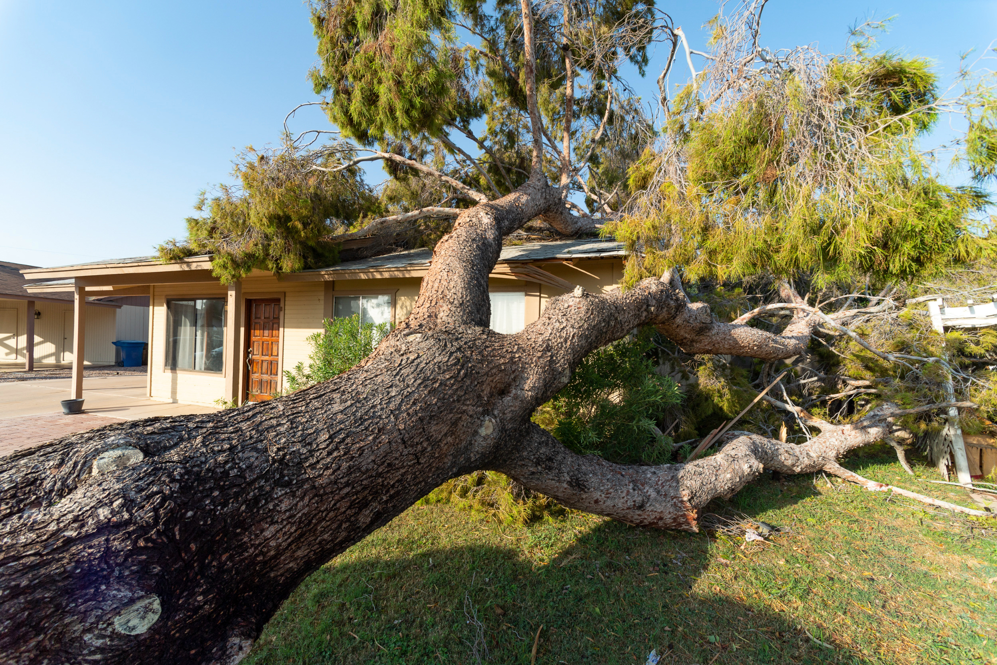a big tree that has fallen on a one-story house