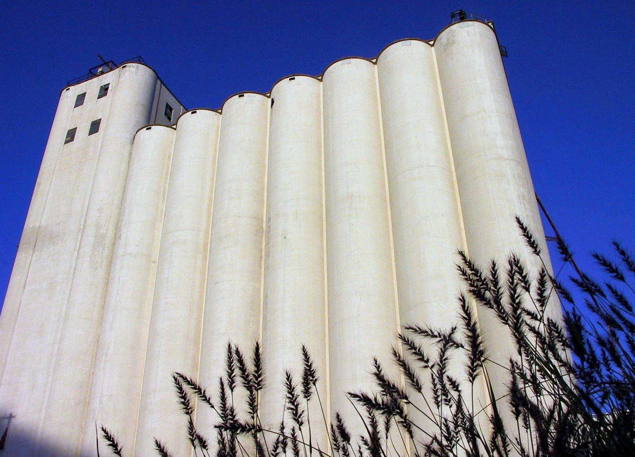 The towering white silos of a flour mill against a blue sky.