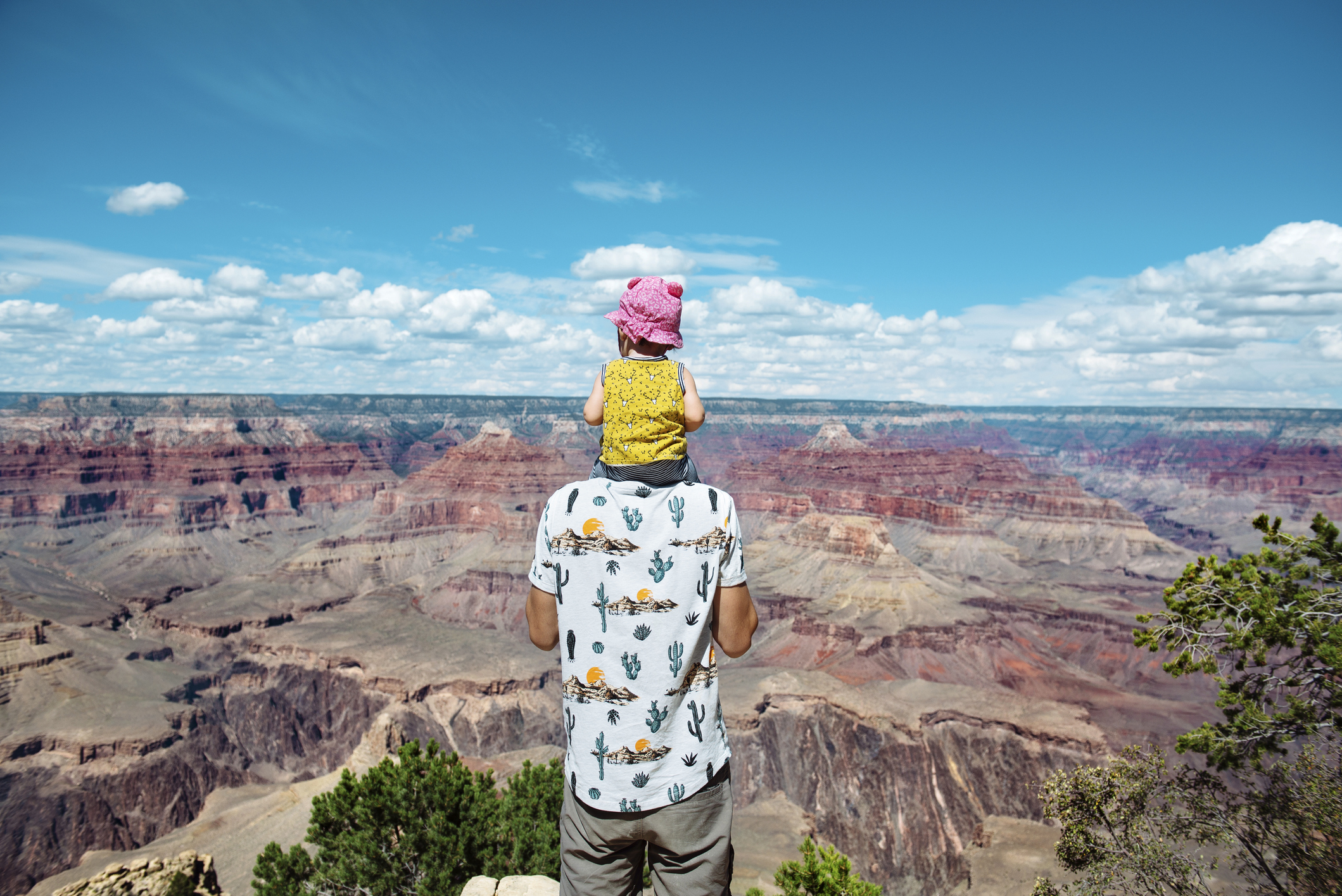 a father holds a baby as they look out at the grand canyon