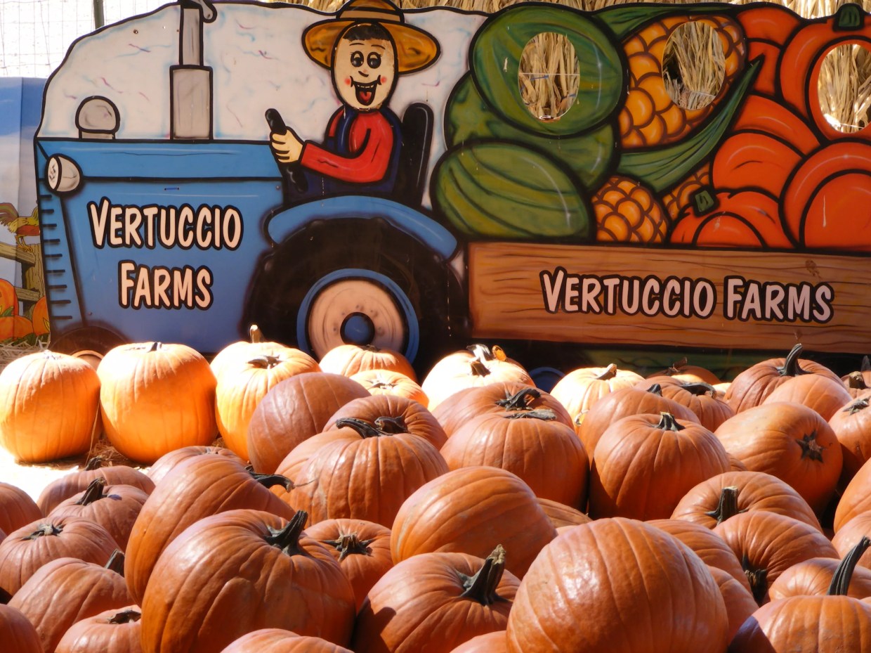 New farmers market, food truck roundup is coming to Mesa