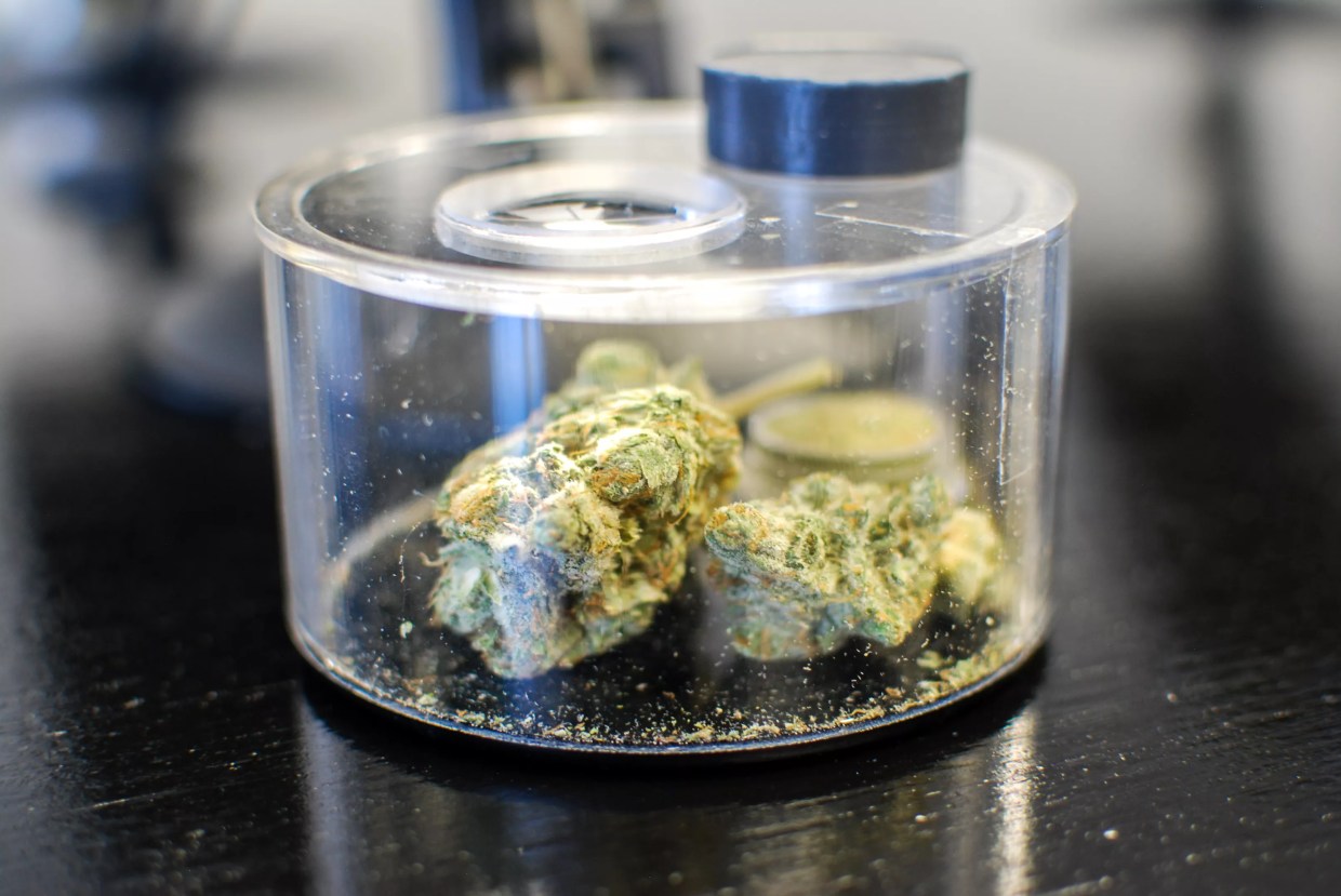 Tangled Up In Blue Dream: It’s Easier to Grow and ‘Makes You a Genius’