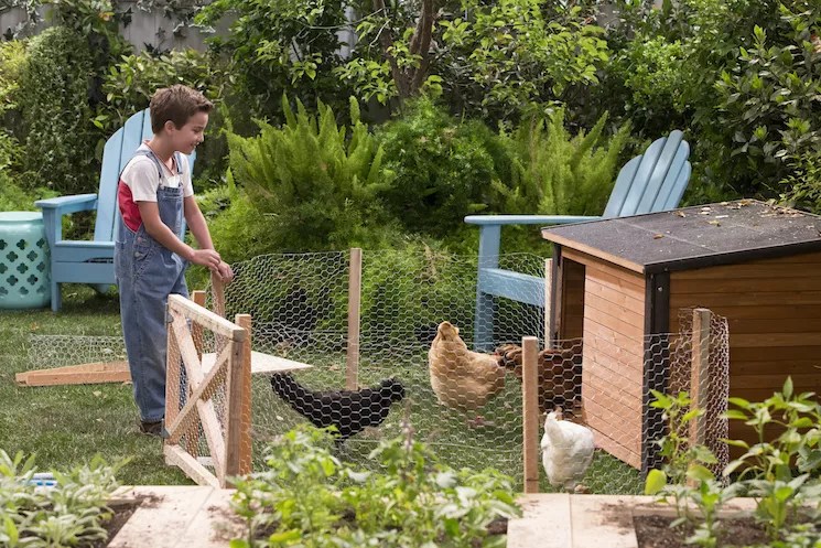 <i>Fuller House</i> Recap: And They Called It Puppy Love