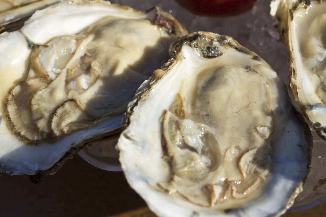 The House Specialty at Tempe’s Favorite ASU Haunt