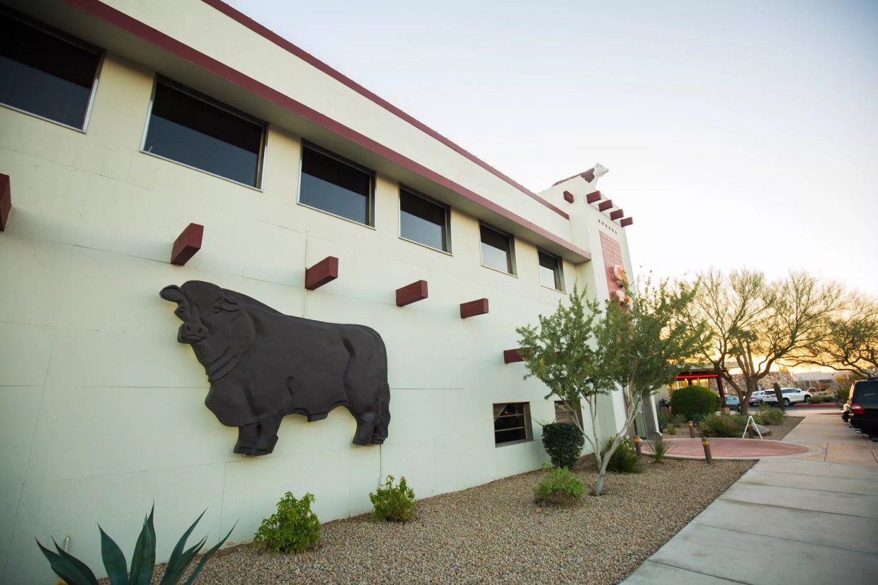 Dining Guide: Restaurants Near Phoenix Sky Harbor International Airport