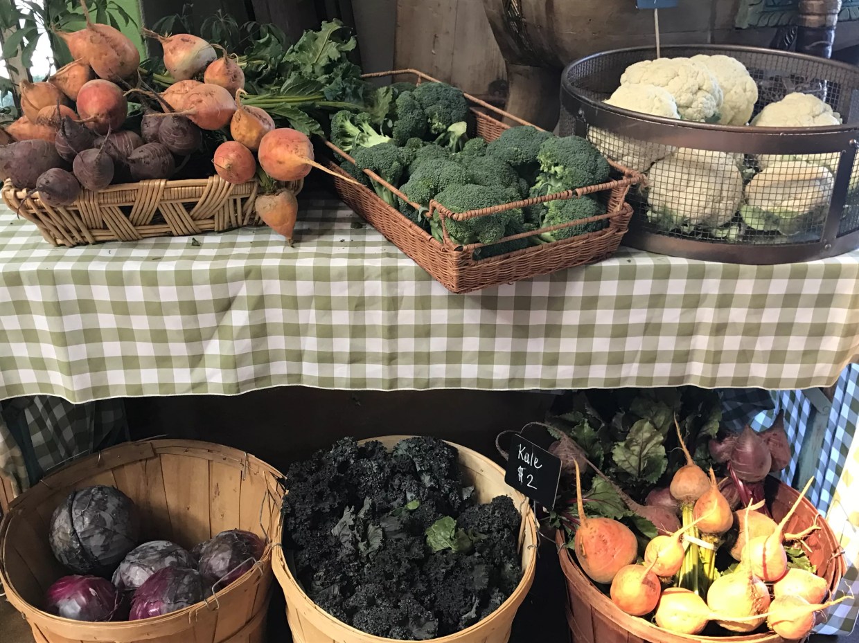 Fall Festivals and Openings We Can’t Wait to Sink Our Teeth Into