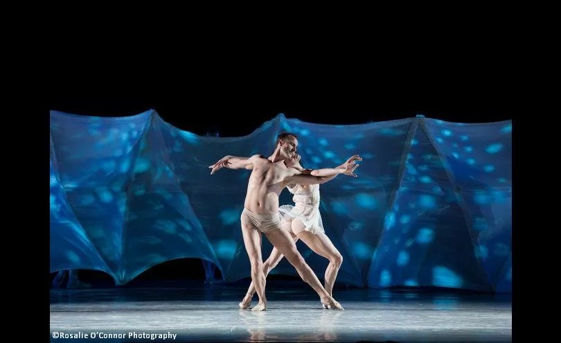 Ballet Arizona’s <i>Topia</i> Still Shines at Desert Botanical Garden