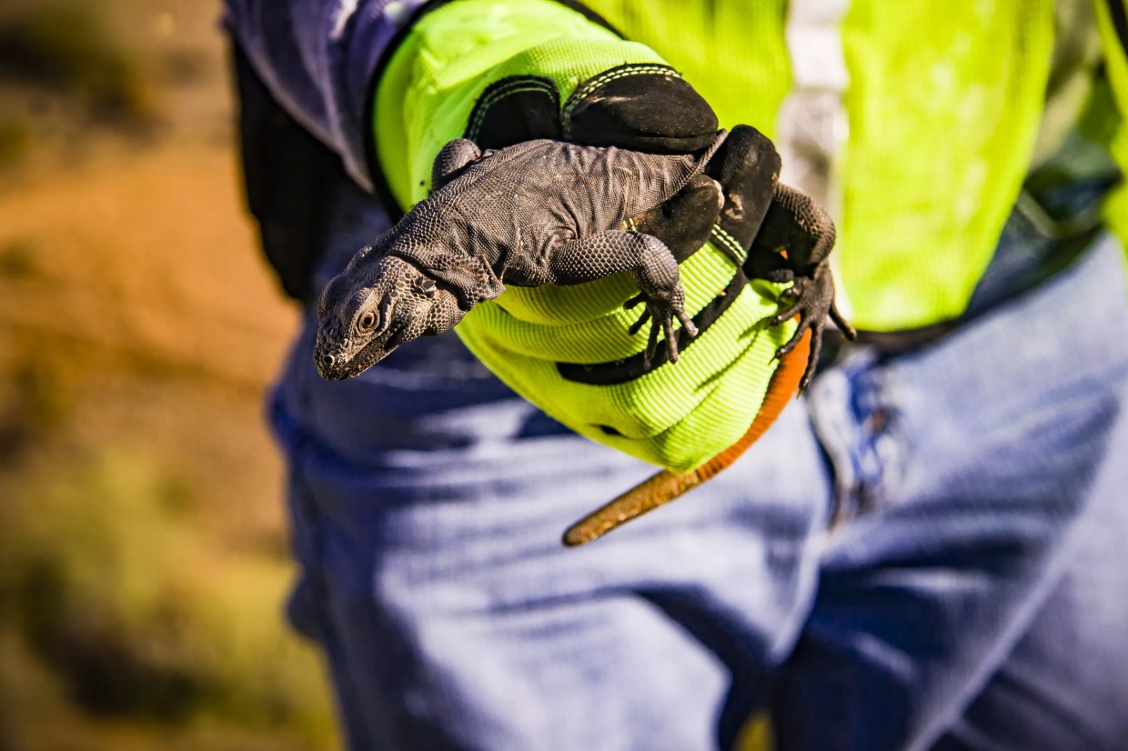 Ruling Makes Opening of South Mountain Freeway a Reality for Late 2019