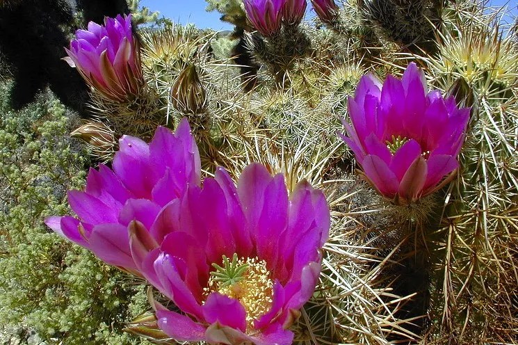 Did You Pay Attention to Arizona News in 2018? Take This Quiz