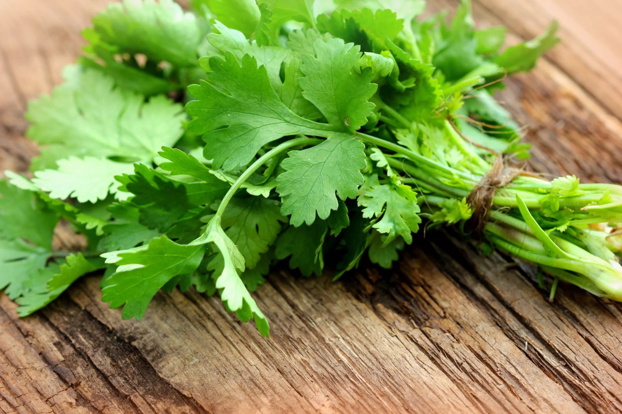 From Cilantro to Deep-Dish Pizza: 8 Food Stories That Will Piss You Off
