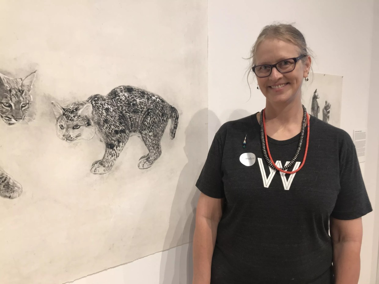 How Arizona Artists Are Tackling the High Cost of Health Insurance