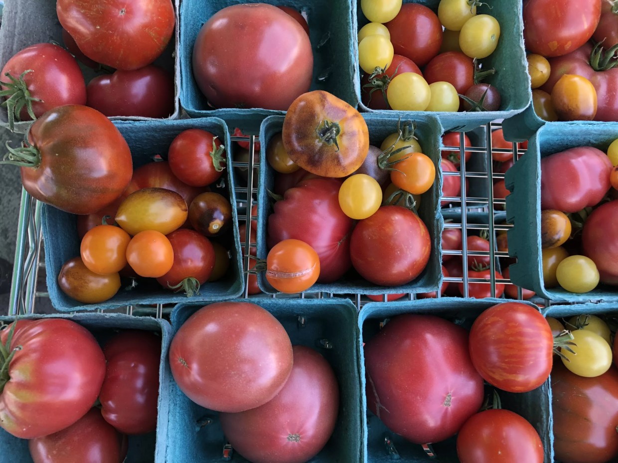 You Can Find Florid, Strange, Beautiful Tomatoes in Arizona Right Now