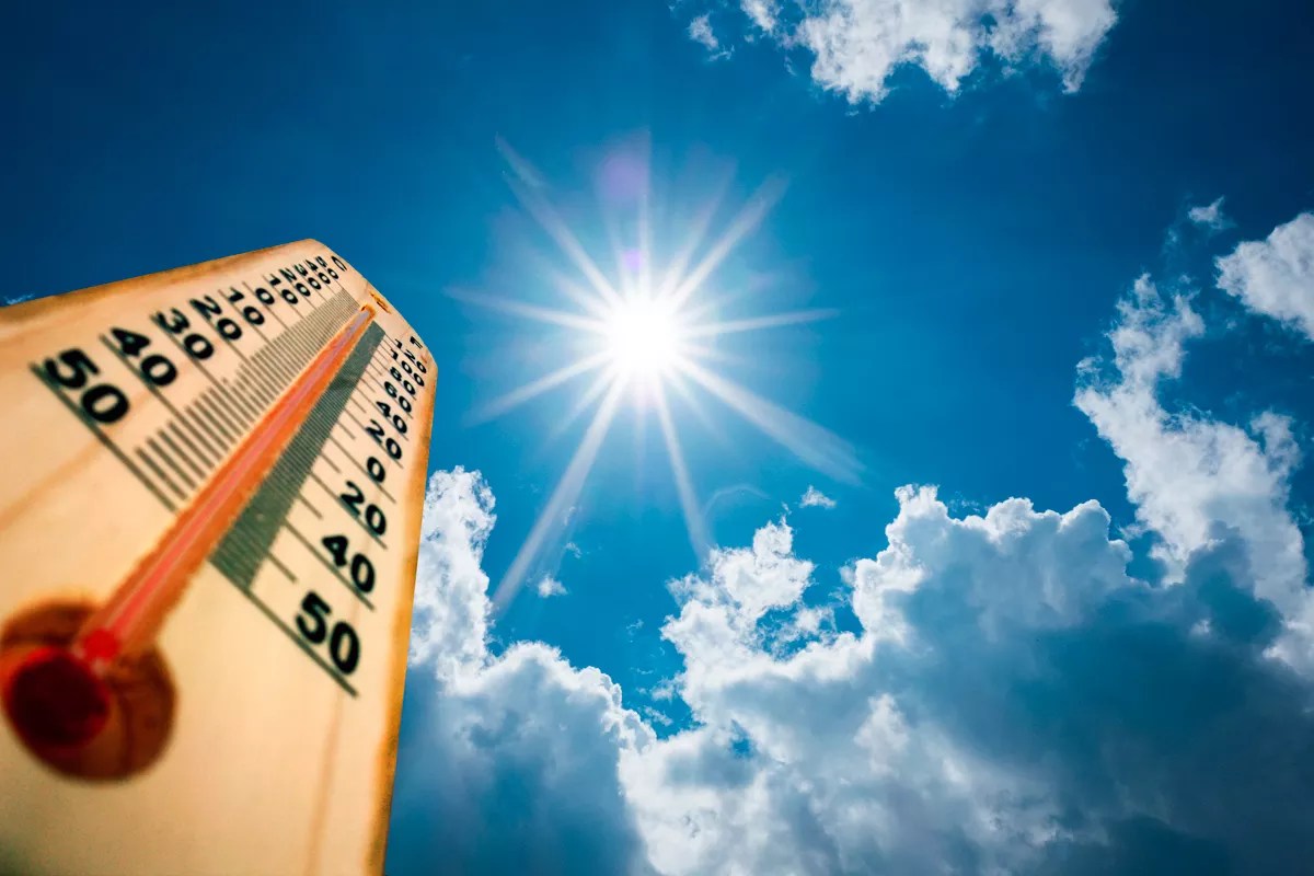Some Like It Cool: One Writer’s Lifetime of Hiding From the Heat