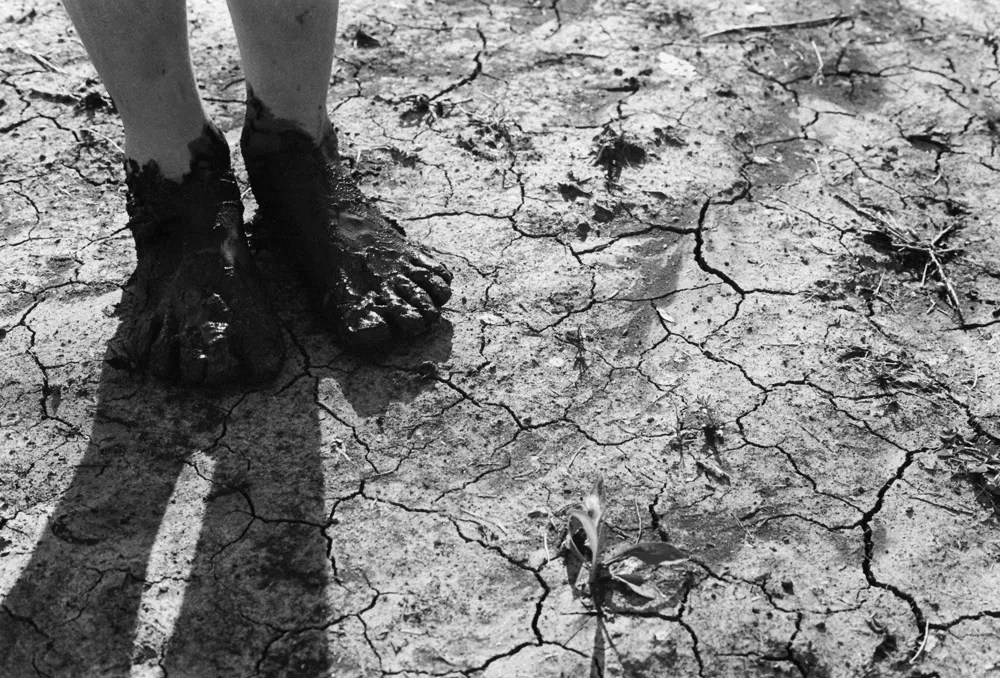 Phoenix Photographers Share Tips for Taking Better Pictures This Summer