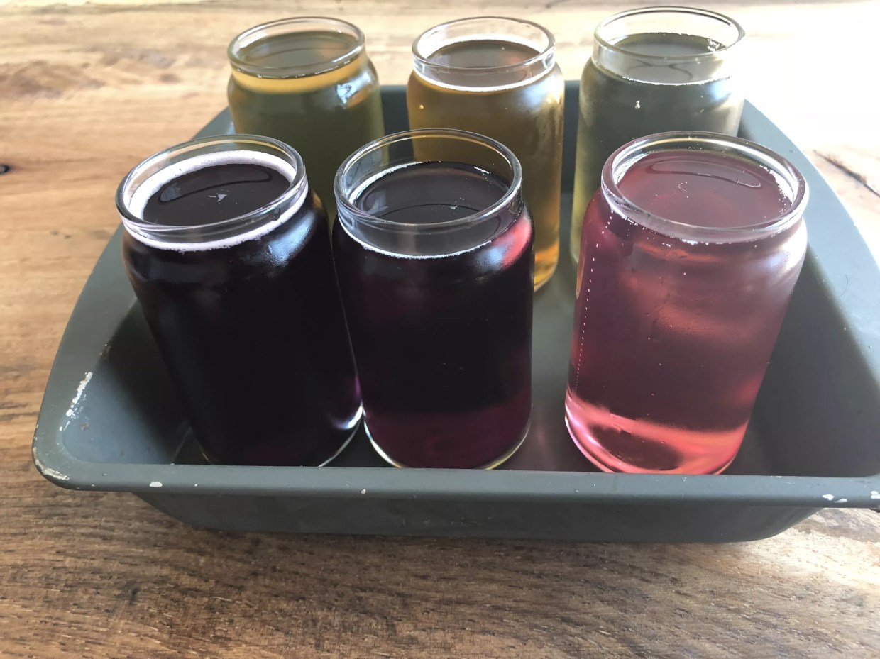 Craft Cider Festival Bringing Local and National Cideries to Mesa