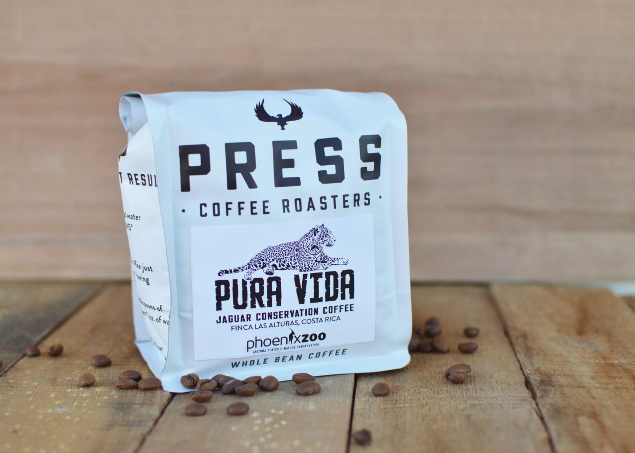 Drink Coffee, Save a Jaguar,  Thanks to Press’ Pura Vida Blend