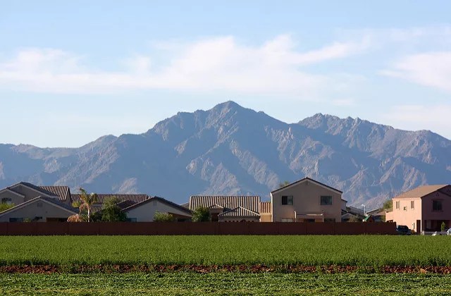 Report: Renting a Home Is More Affordable Than Buying One in Phoenix