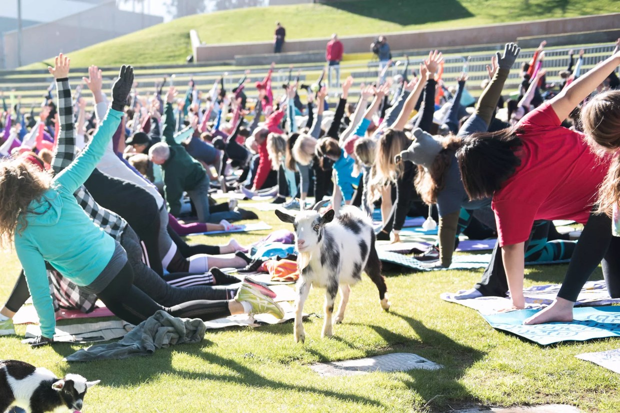 Yoga for Yoga Haters: 4 Places in Metro Phoenix to Try