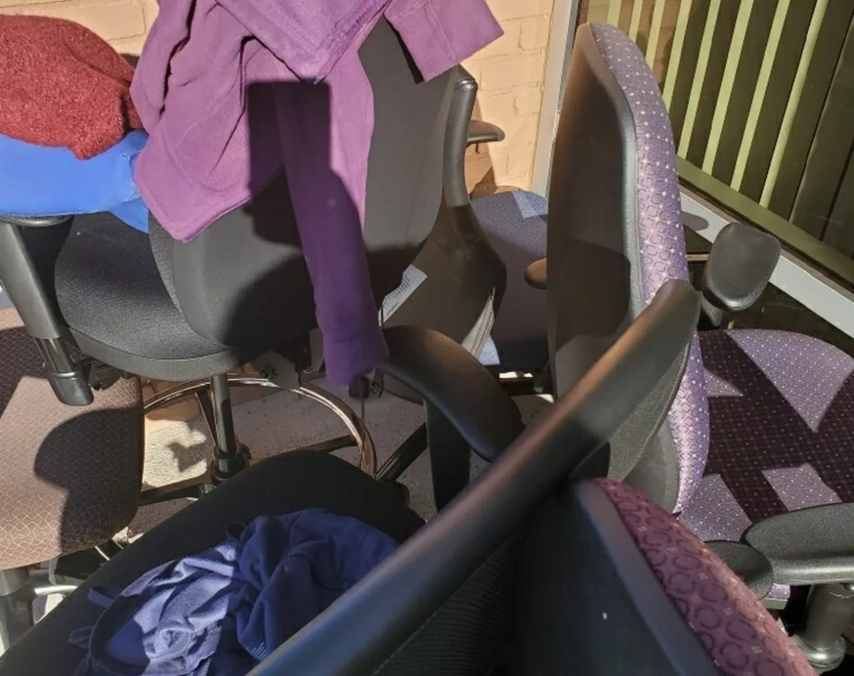 Bedbug Infestation at State DES Office Spreads to Second Office, Workers Say