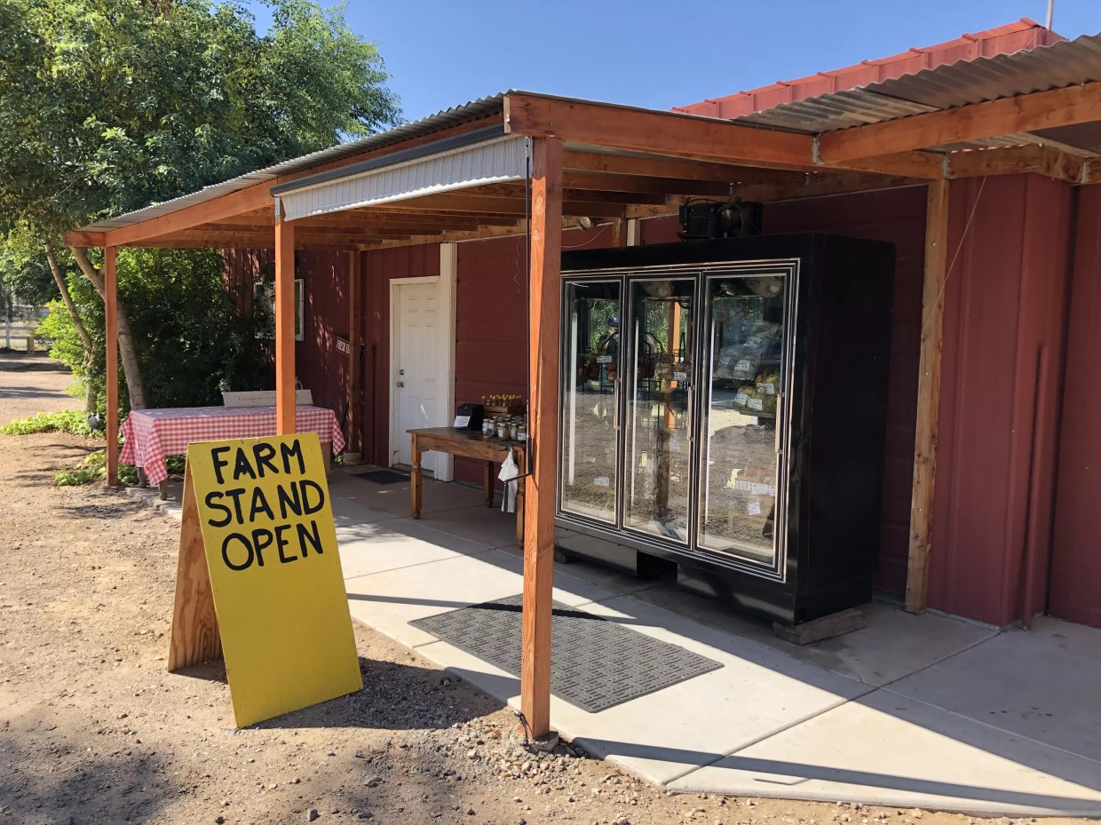 Elegy for a Fruit-Treed Laveen Farm Near South Mountain