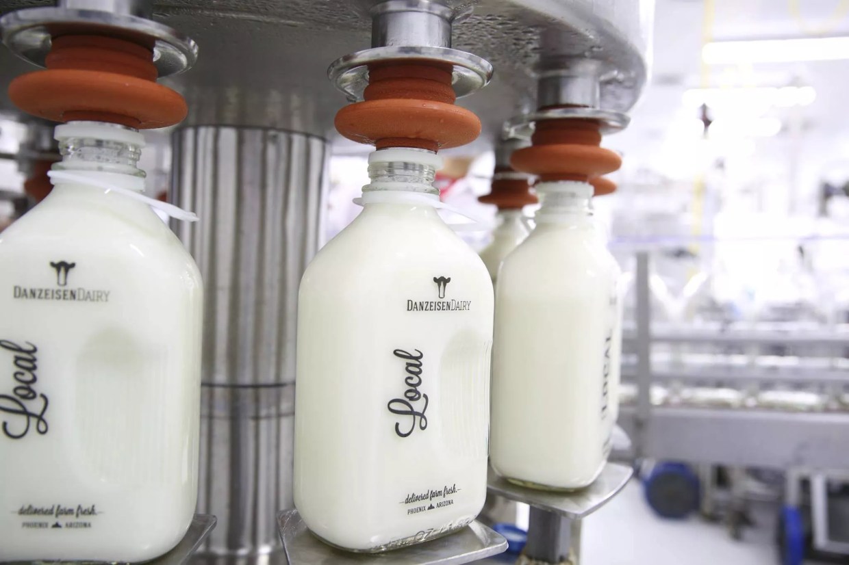 The 12 Songs of Arizona Christmas: Eight Maids A-Milking