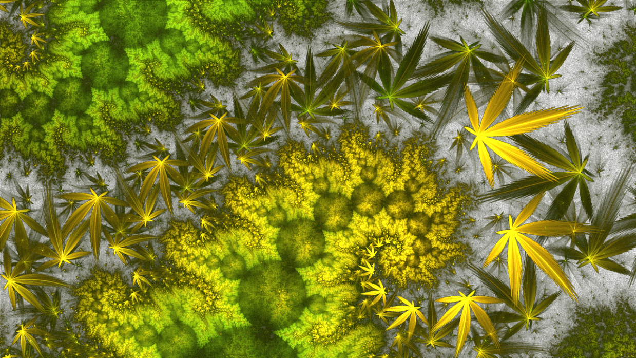 Prescribing Marijuana for Autism: A Good Idea?