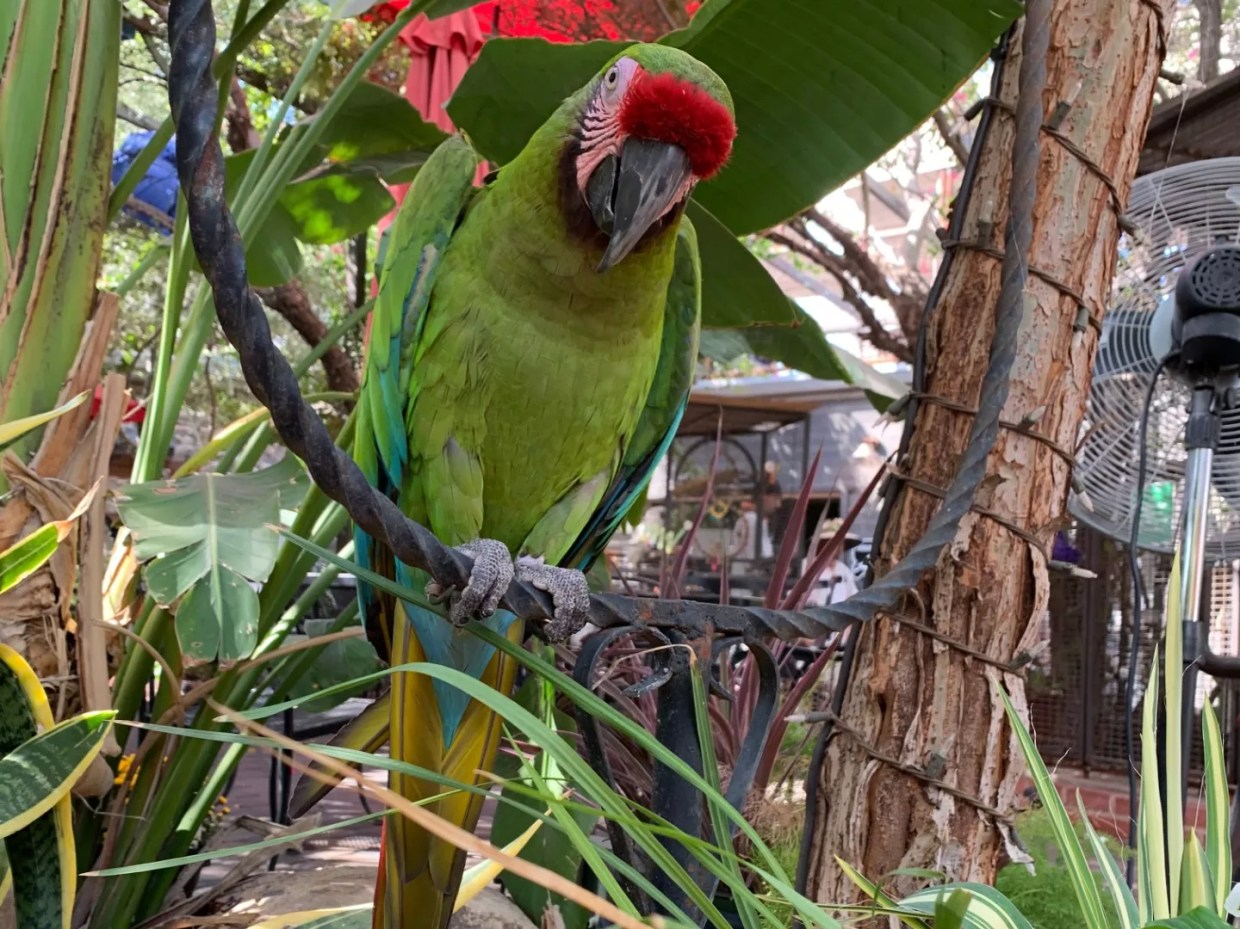 Valley brewery spreads its wings with new restaurant and entertainment venue