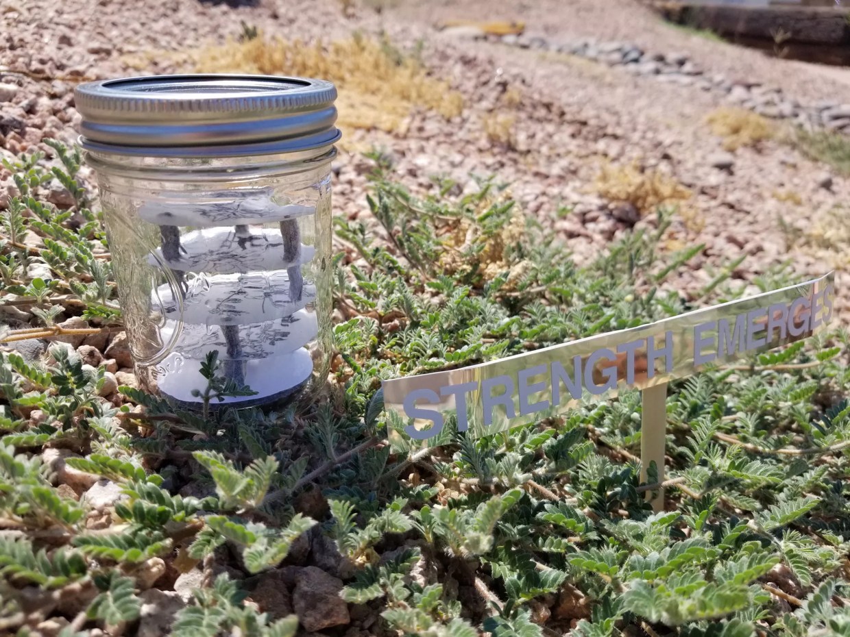 Metro Phoenix Creatives Share Outdoor Art in the Age of COVID-19