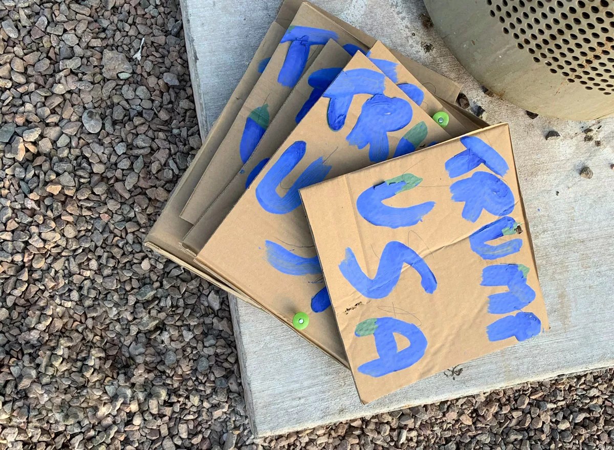 The Election’s Over, But This Trump Fan Is Still a True Believer