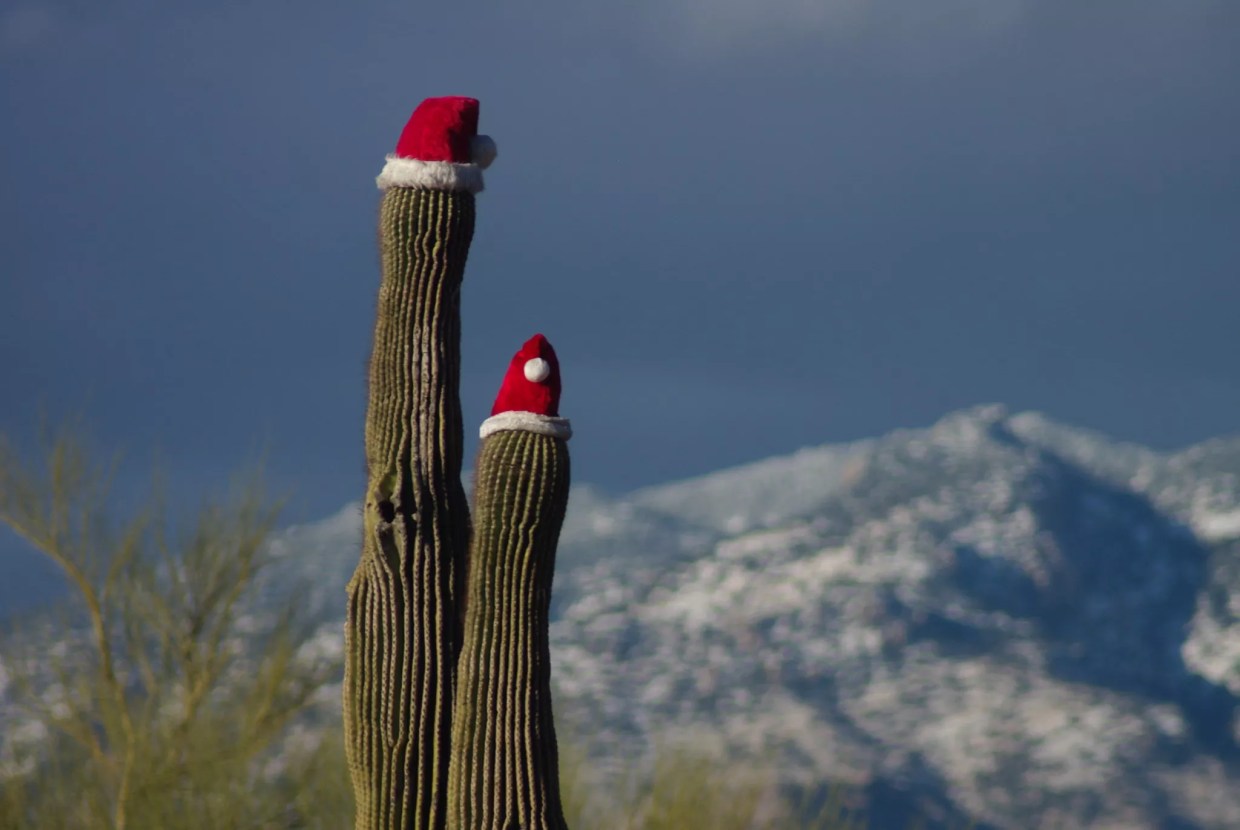Your Guide to Safe Holiday Events in Greater Phoenix in 2020