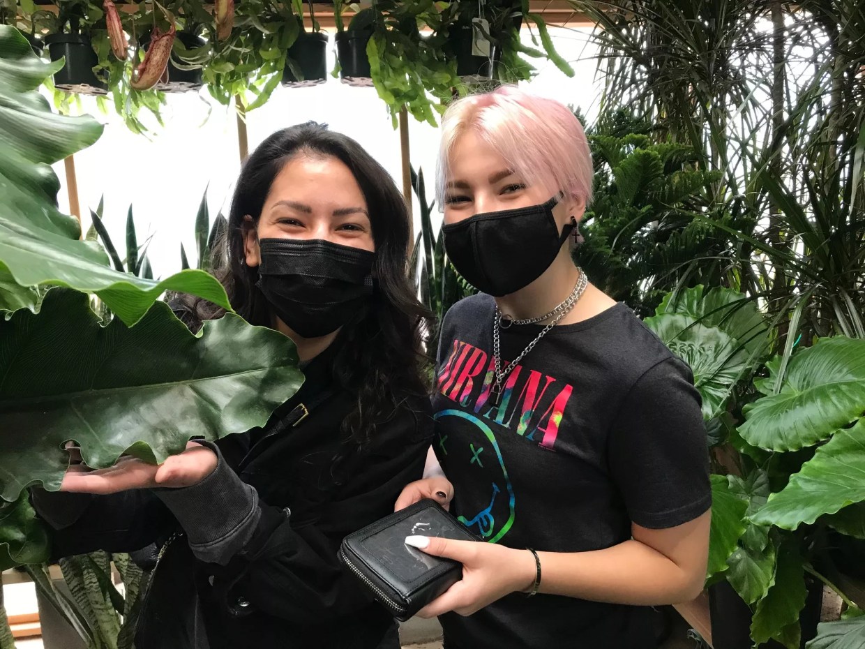 A Phoenix Gift Guide for the Plant Nerd in Your Life