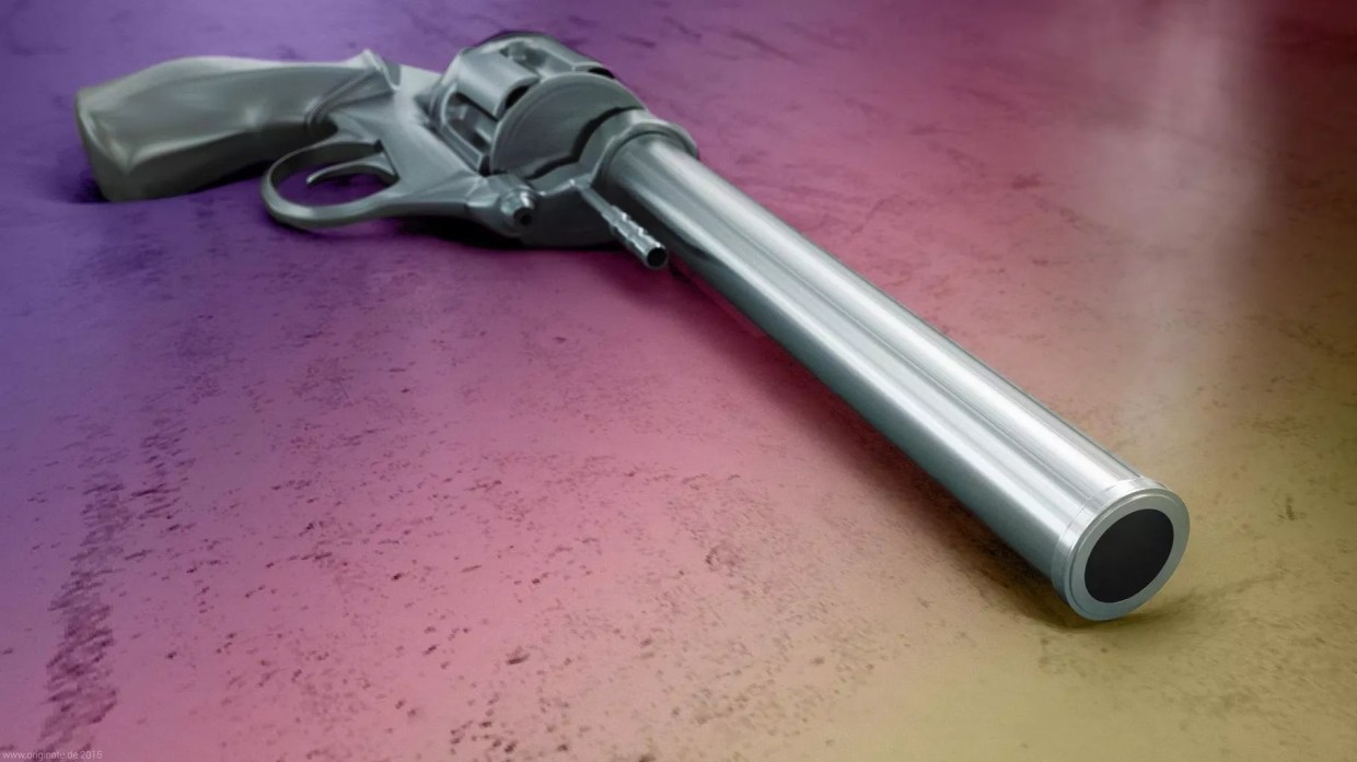 A Tempe Man Repeatedly Shot Two Unleashed Dogs With a .44 Magnum. Was It Self-Defense?