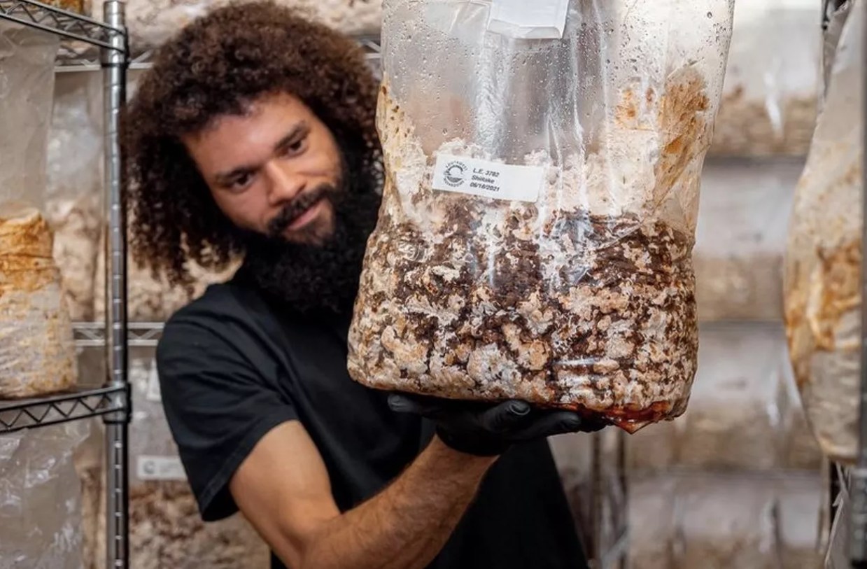 Phoenix’s ‘Mushroom Mike’ Grows Gourmet and Medicinal ‘Shrooms in Maryvale