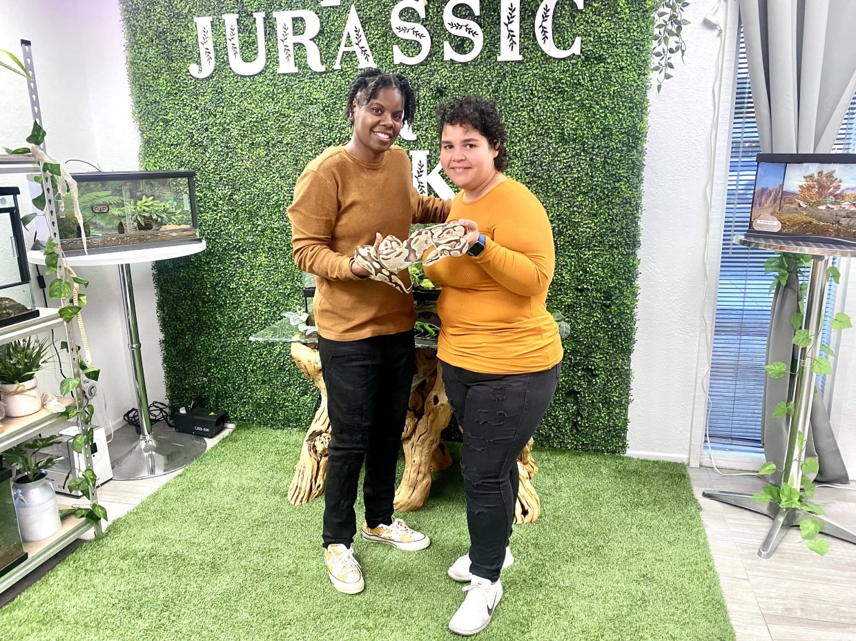 Sip On Shakes and Hang Out With Snakes at This Unusual Tempe Cafe