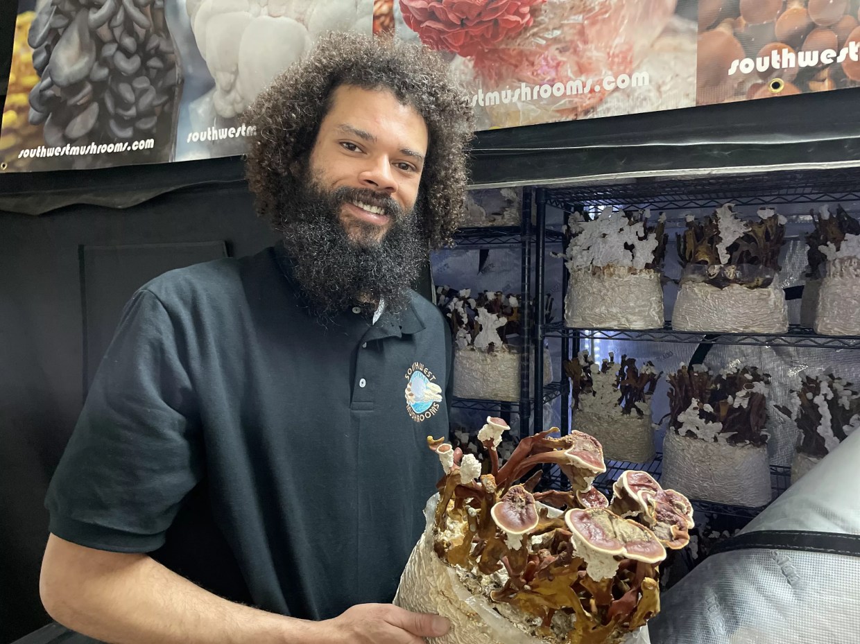 Meet 4 fungi farmers growing the Phoenix mushroom market