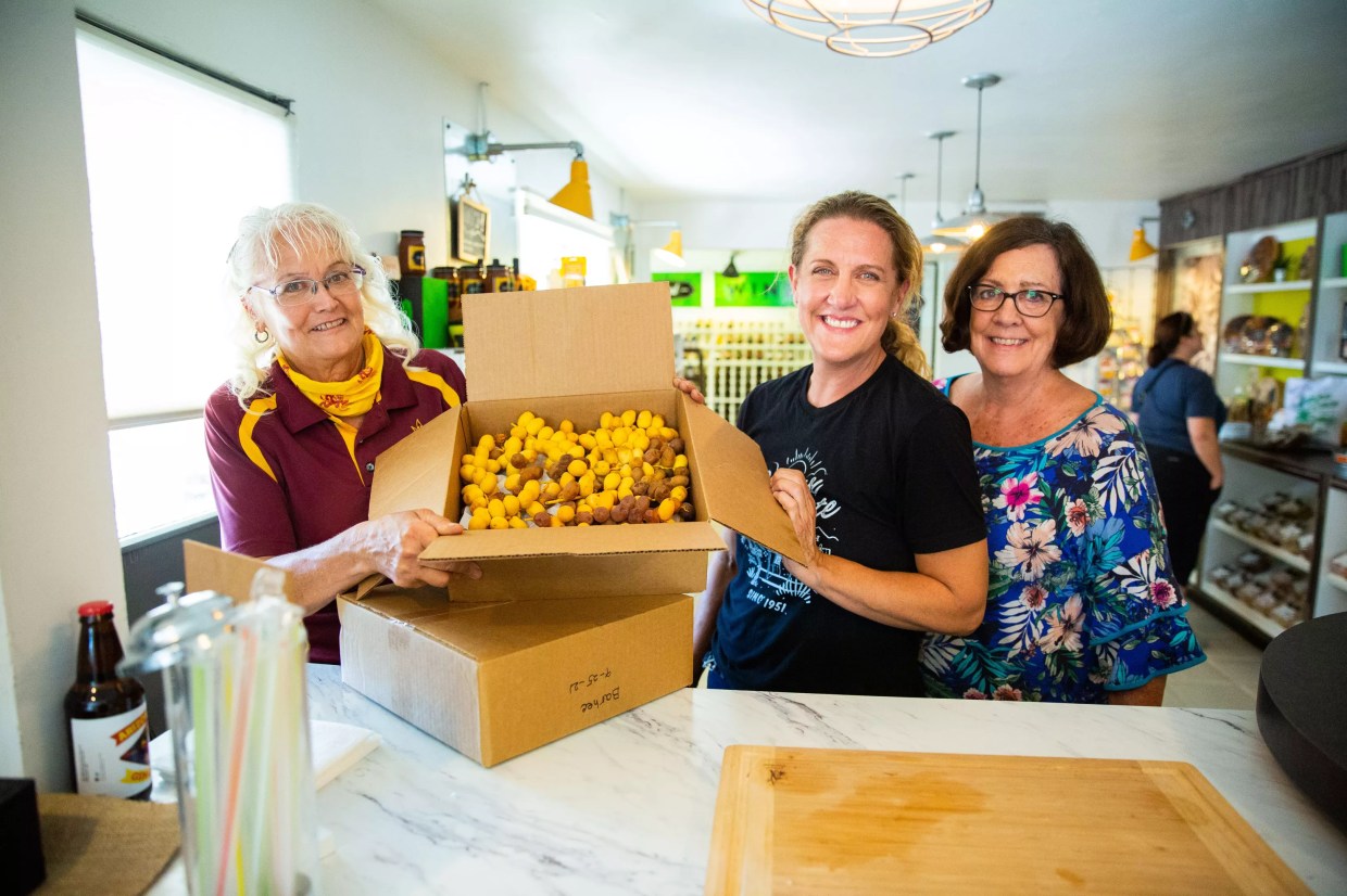 Fall is date season in Phoenix. One local partnership champions rare varieties of the fruit