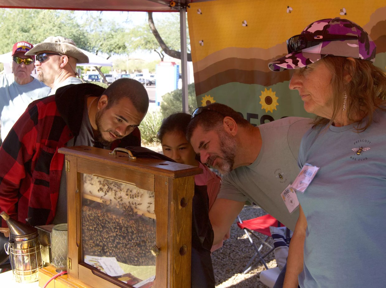 How home gardening can help protect threatened bees in Phoenix