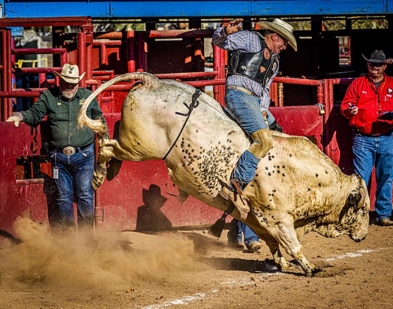 bull rider at Arizona Gay Rode
