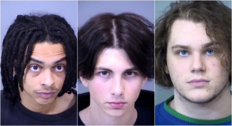 Mugshots of Dominic Turner, Taylor Sherman and William Hines