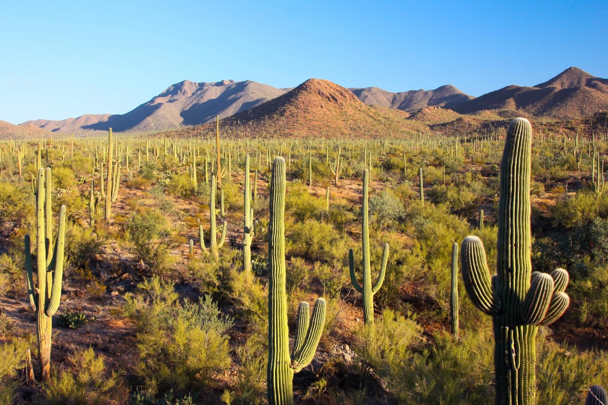 See Arizona natural wonders on Free National Park Day Sept. 27