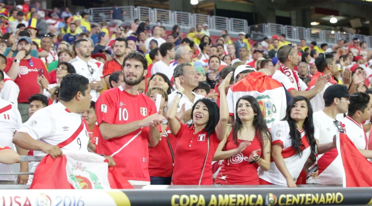Fans at a soccer match.
