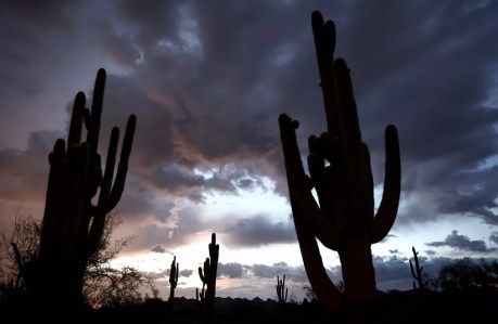Wettest Phoenix Novembers on record? How 2025 ranks so far