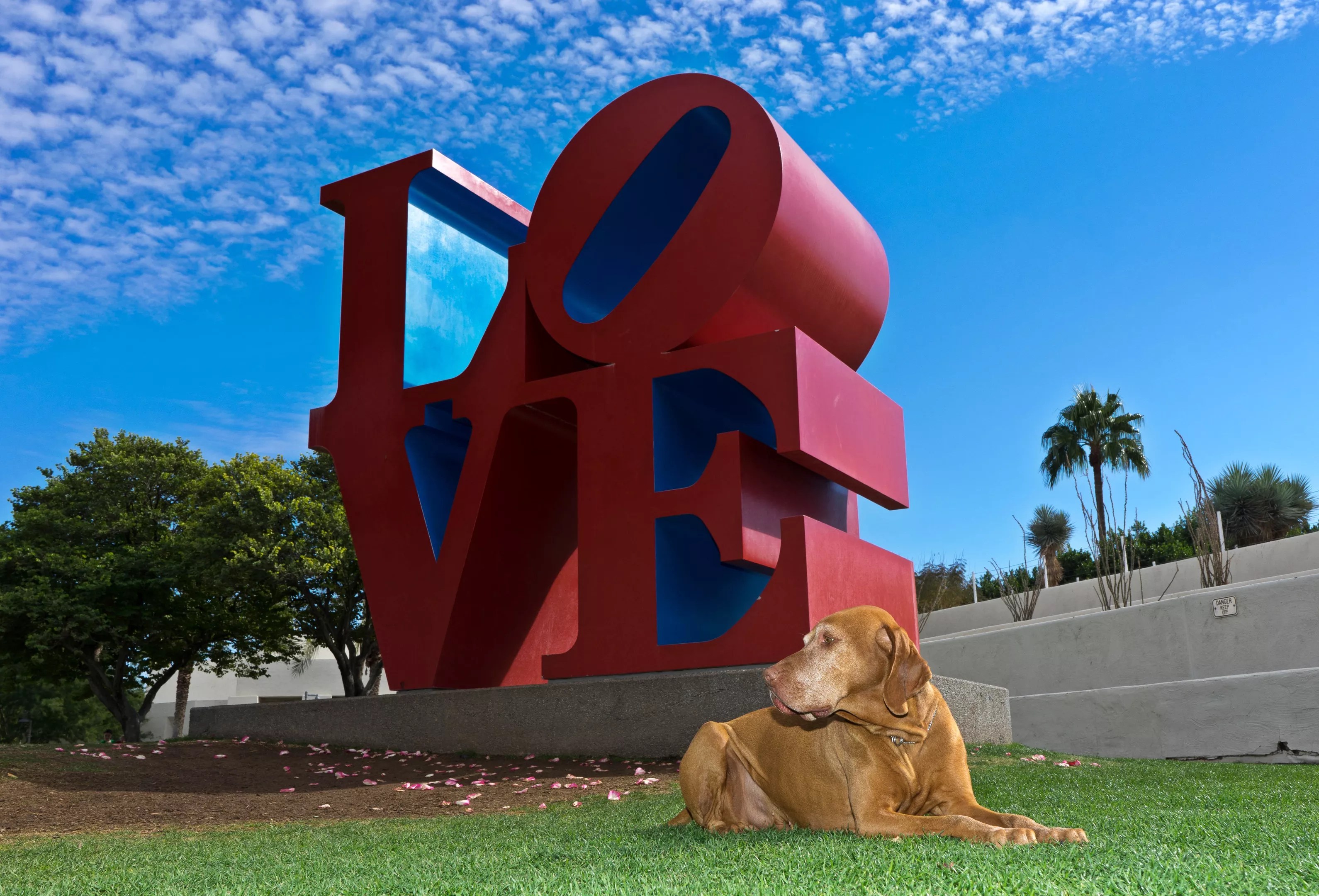 A dog lays in front of a public art sculpture