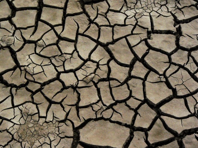 parched land