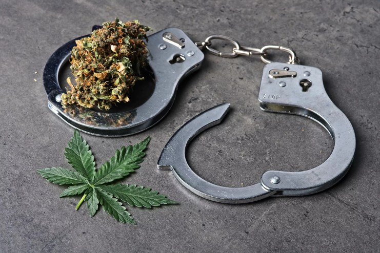 handcuffs around a weed flower
