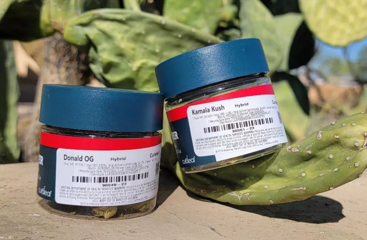 in front of a cactus are weed containers with names "Donald OG" and "Kamala Kush"