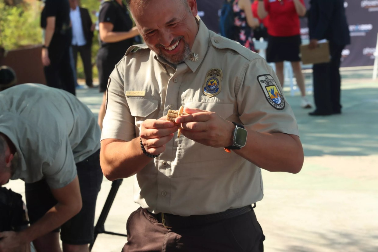 A man examines a piece of ivory.