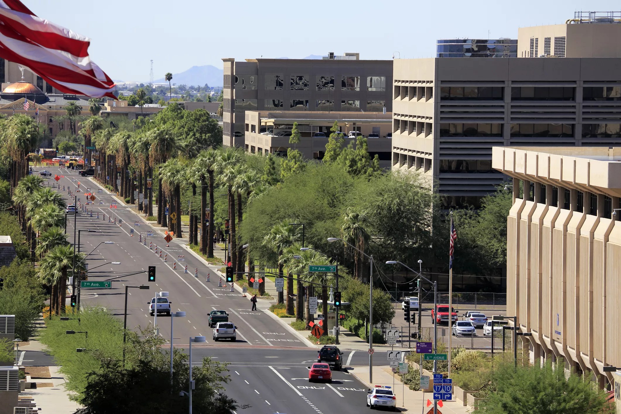 a tree-lined street in phoenix