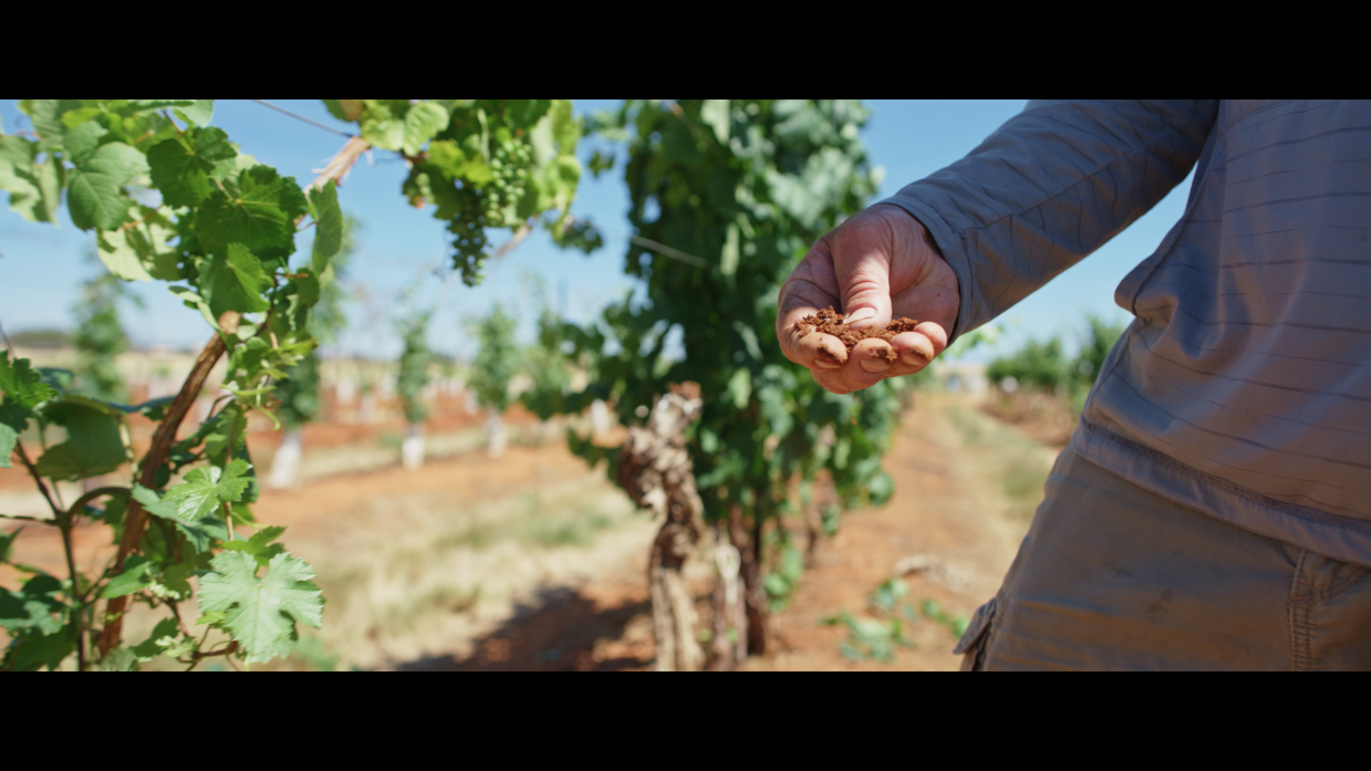 New film explores the world of Arizona wine. Here’s how to watch