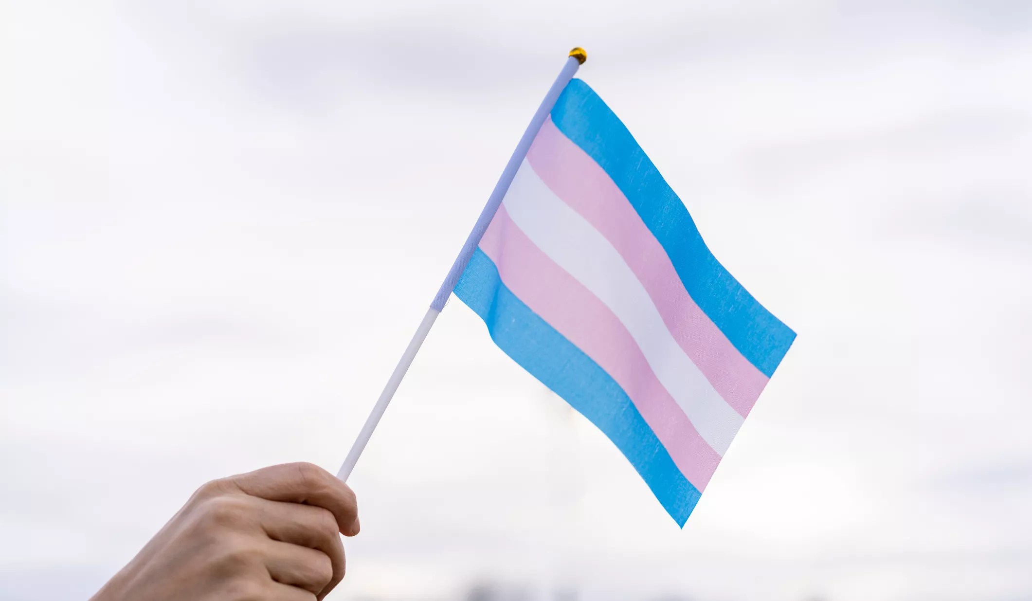a hand waves a small flag with trans advocacy colors (pink, white, powder plue)